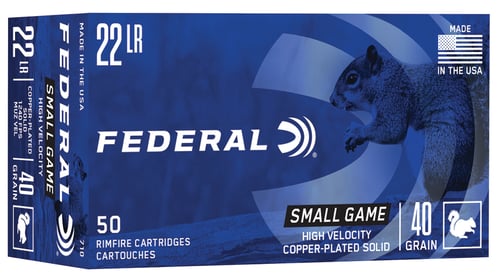 Federal Game-Shok Rimfire Ammunition .22 LR 40 gr CPS 50/box  | .22 LR | 029465056148