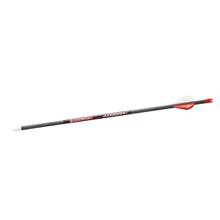 Bloodsport Judgement Arrow 400 Spine 6/pk | 042609000890